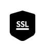 SSL Icon